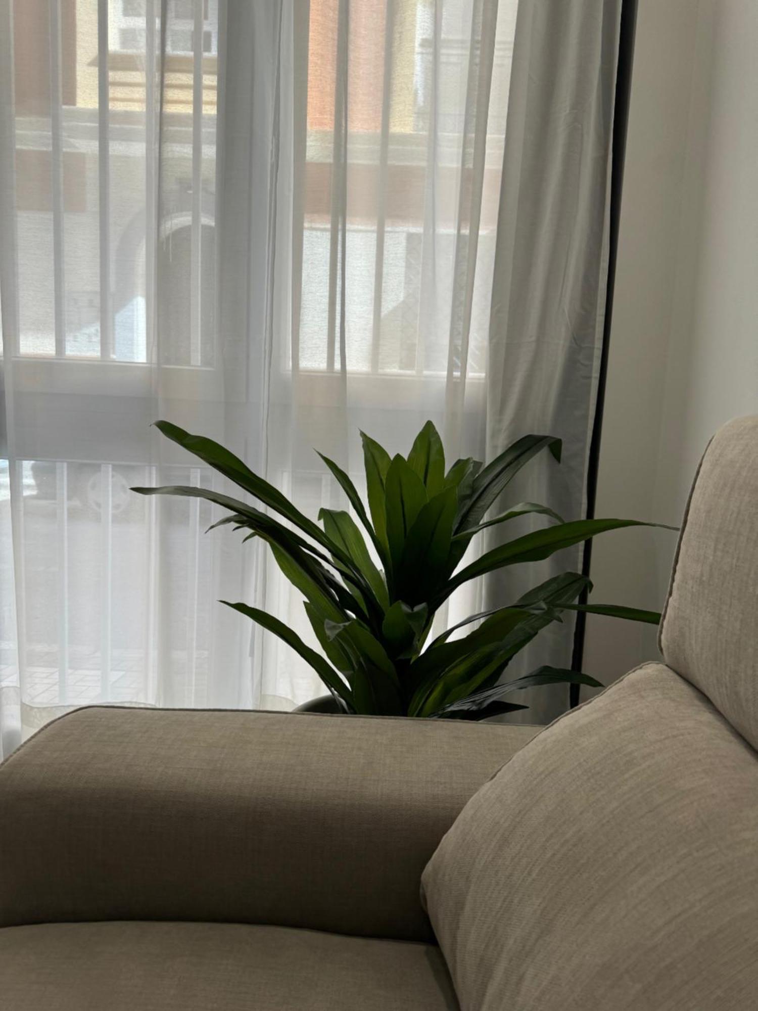 Alderete Suites Μάλαγα Εξωτερικό φωτογραφία